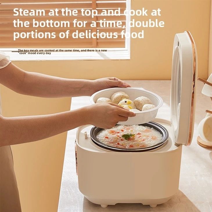 electric rice cooker (8)